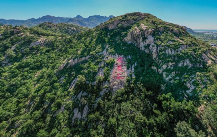 昌黎县特殊教育事业单位等最新项目