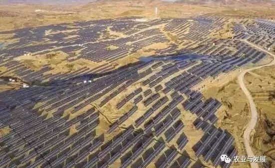 措昂村最新项目