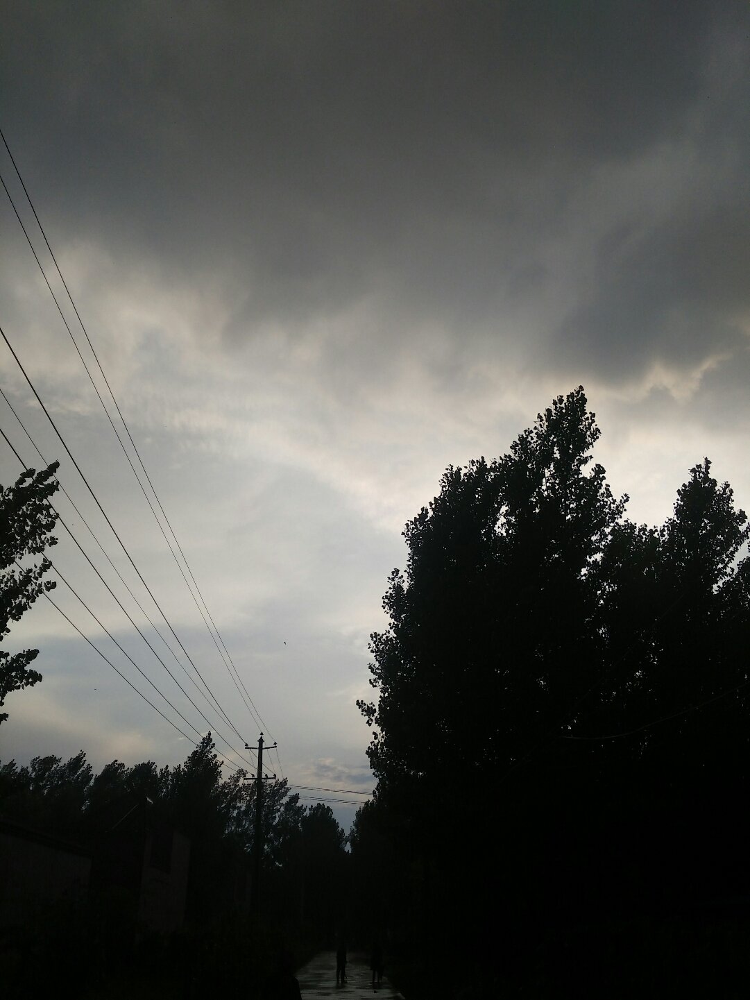 段村乡最新天气预报