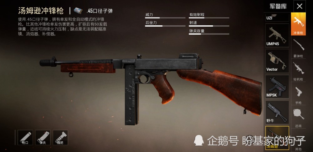 和平精英最新枪支揭秘,探索新武器的独特魅力与特点