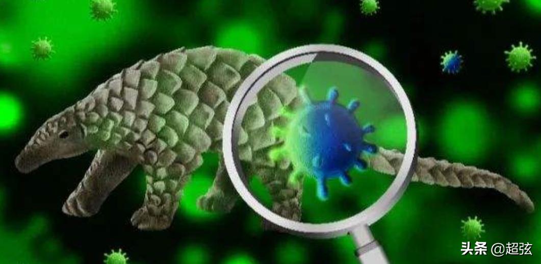 全球新冠病毒最新态势分析