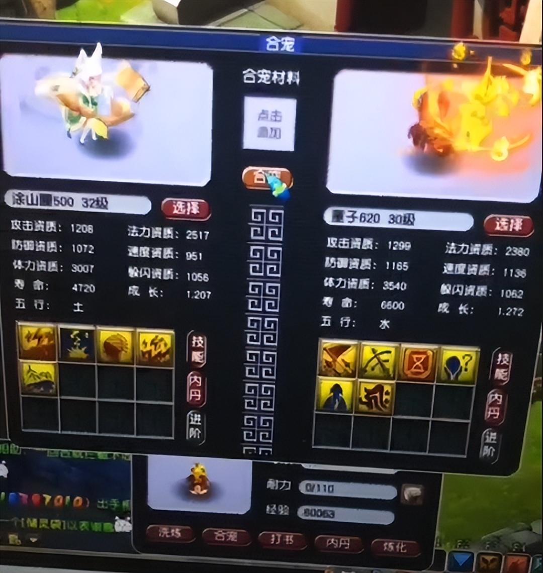 追书大神最新版,开启阅读新纪元探索之旅