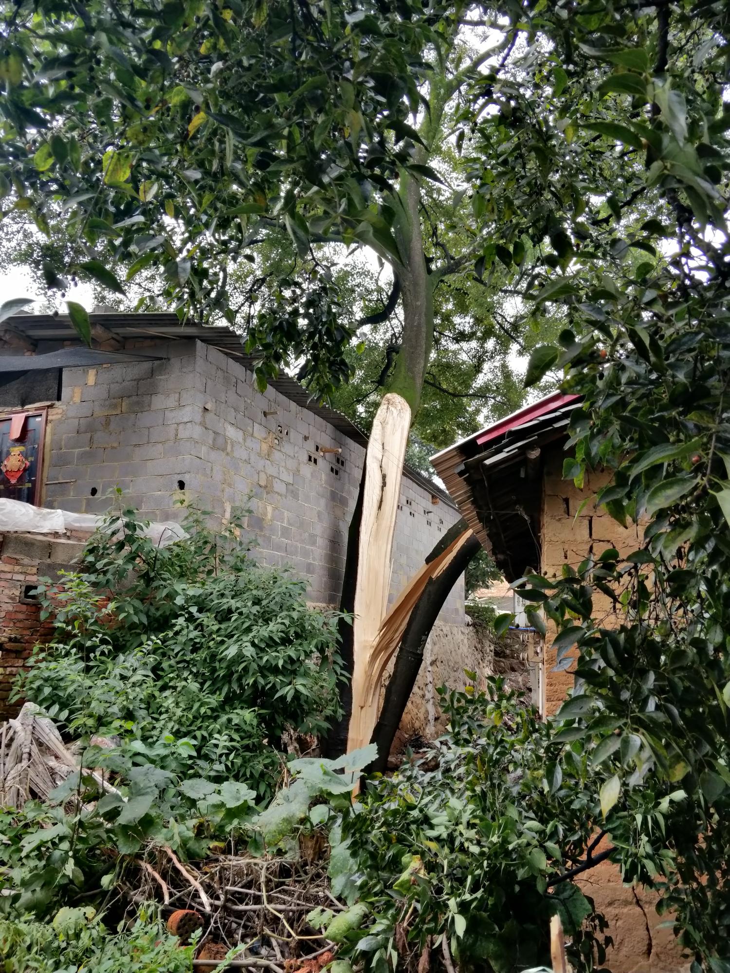 供电局最新停电通知,了解、准备与应对策略