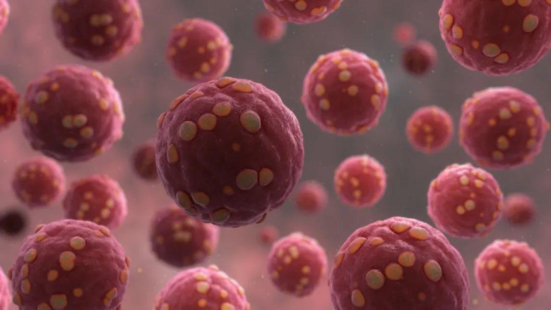 全球新冠病毒最新症状及应对策略深度解析