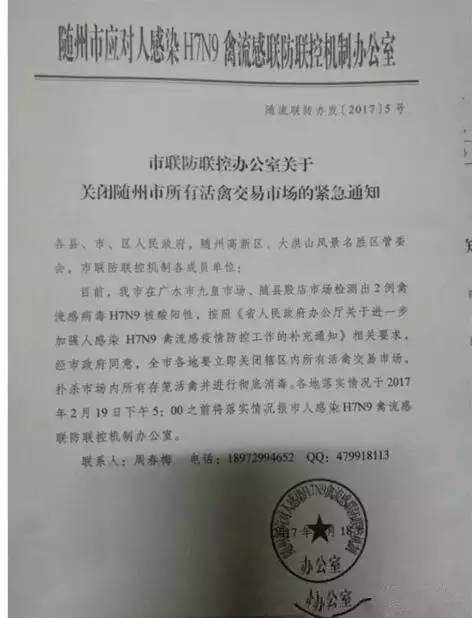 全球禽流感最新动态,最新消息与应对策略揭秘