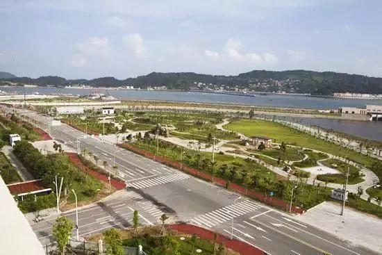 红树林最新动态,生态保护先锋引领前沿研究新篇章