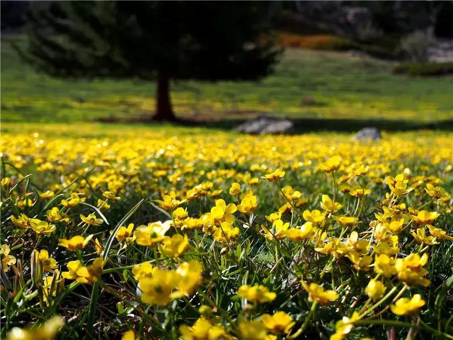 云色盒子破解版,数字世界的无限探索之旅