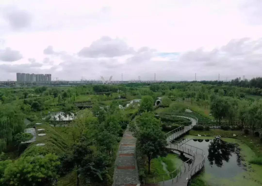 云色盒子破解版,数字世界的无限探索之旅