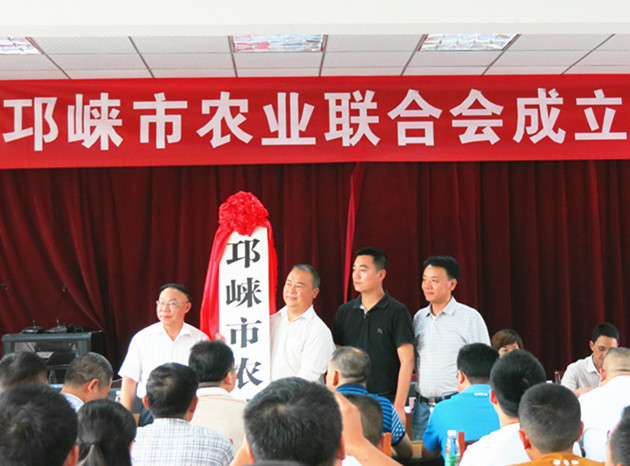 成都邛崃最新发展动态,城市脉搏与民生改善同步前行