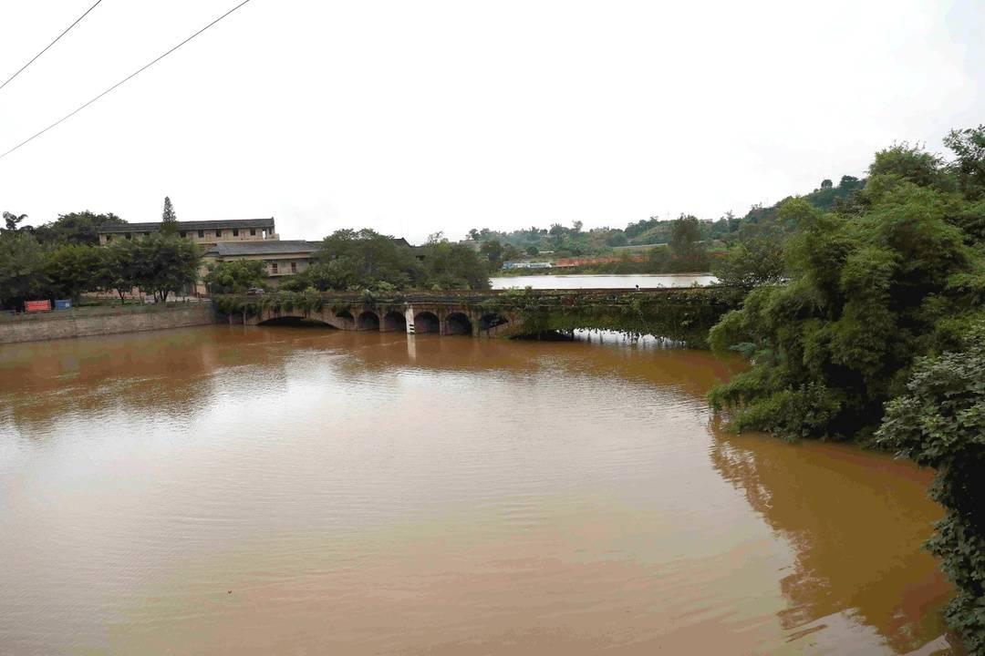 泸州长江水位实时观察报告,最新视频分析